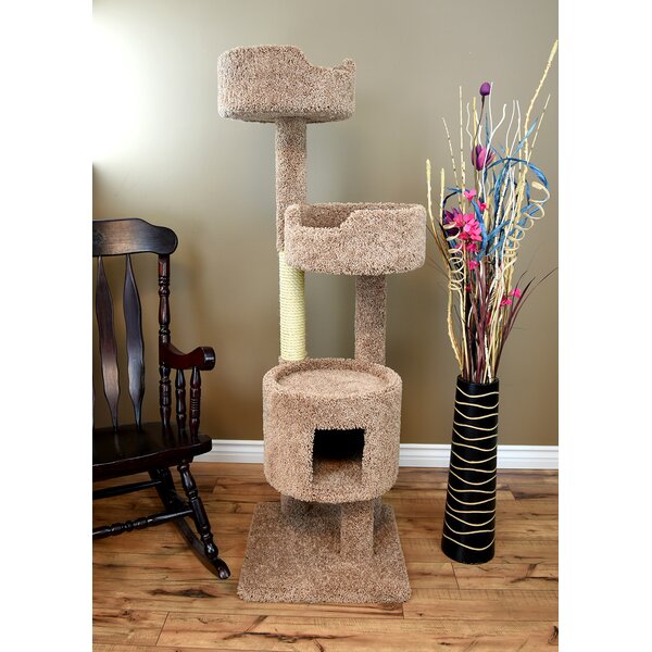 New Cat Condos 64