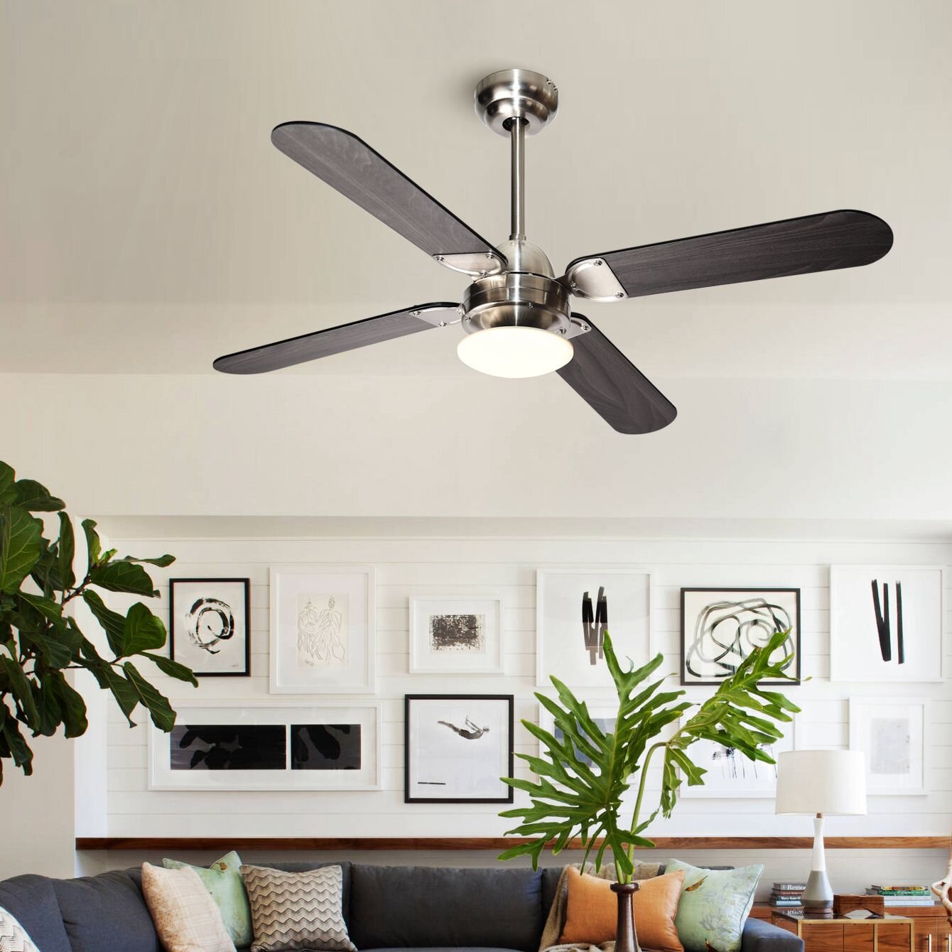Ash Small Room Ceiling Fans With Lights Youll Love In 2021 Wayfair