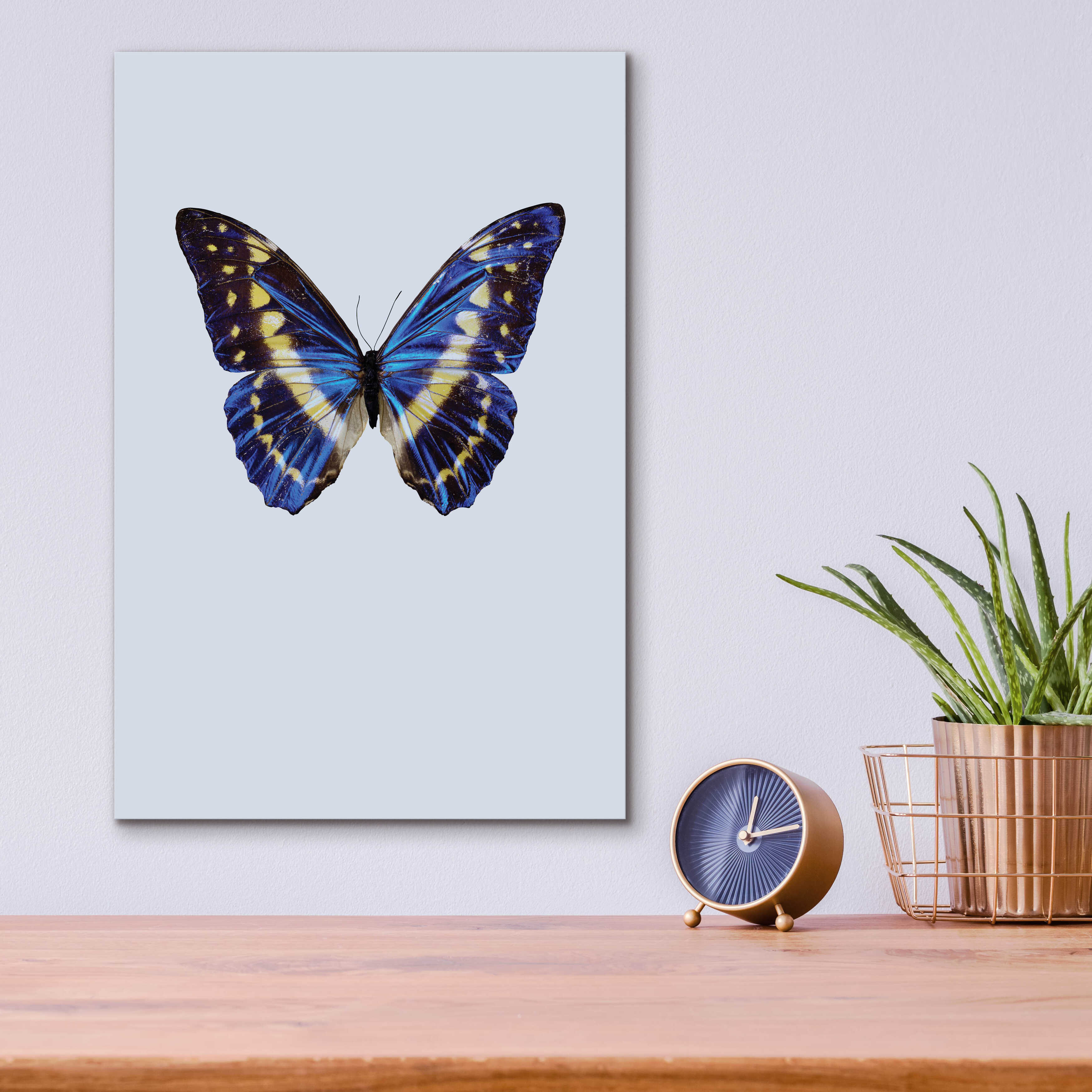 August Grove® Epic Art 'Blue Butterfly' By Incado, Acrylic Glass Blue ...