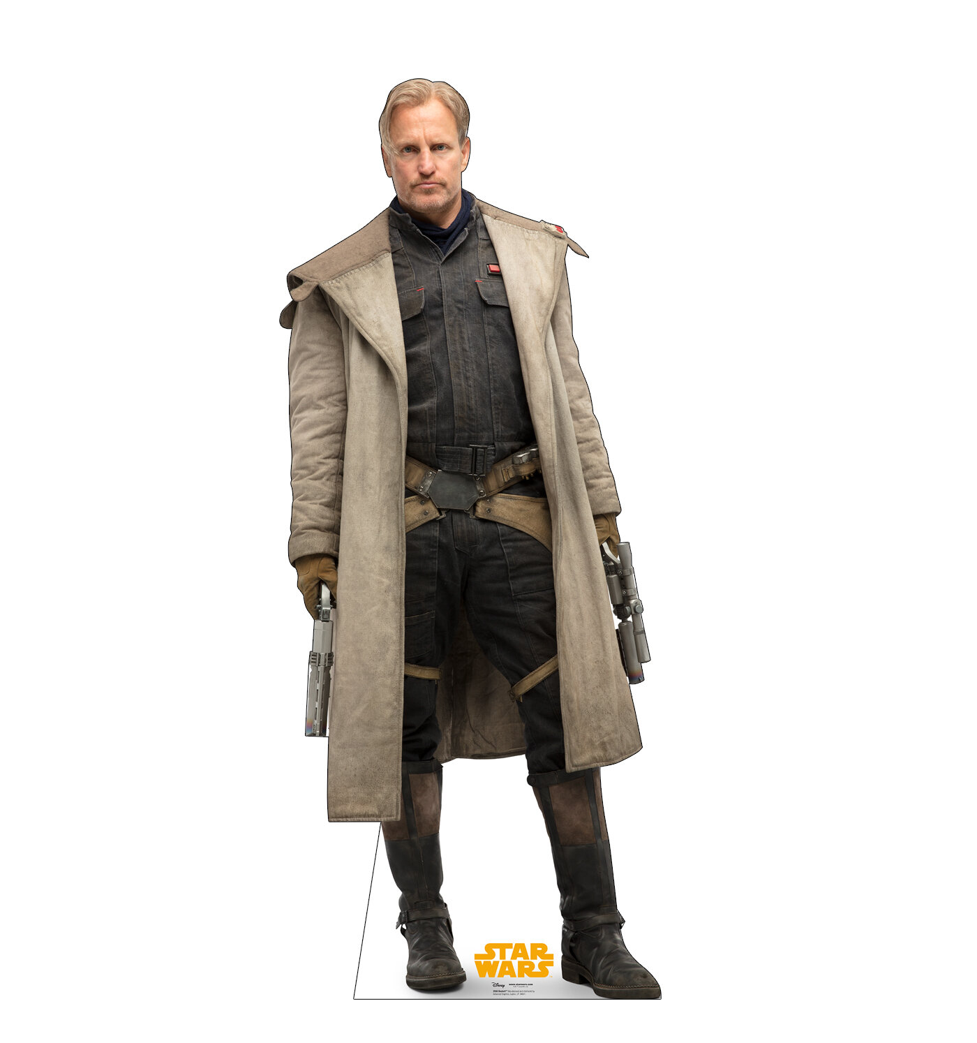 Advanced Graphics Beckett Star Wars Han Solo Movie Standup Wayfair