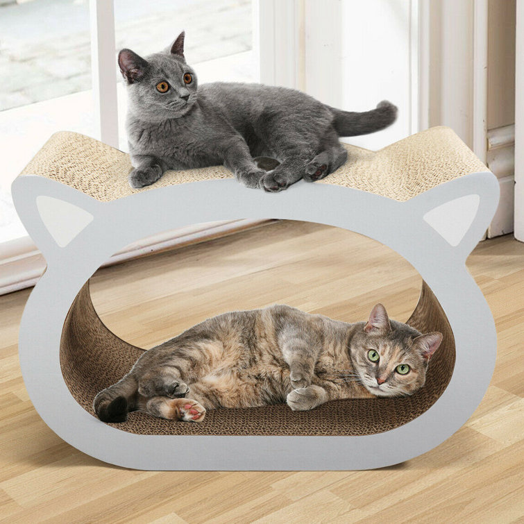 dome cat scratcher