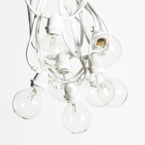 40-Light Globe String Lights