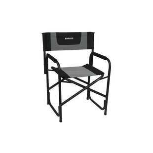 Folding Director Chair Image