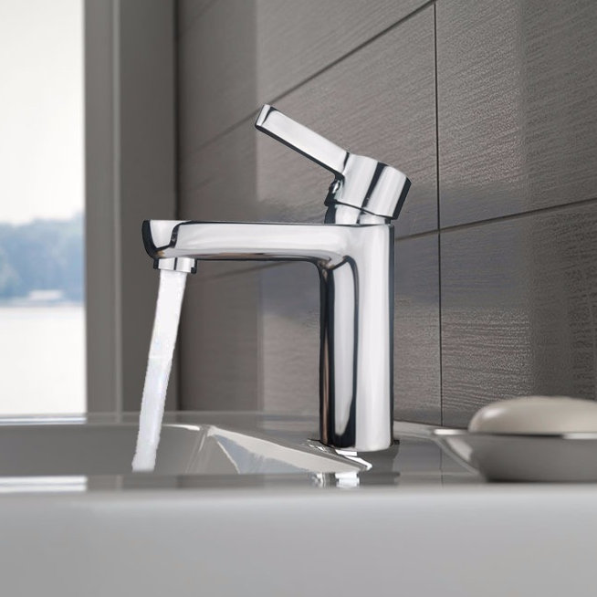 Eviva Metrix Single Hole Bathroom Faucet With Drain Assembly Wayfair