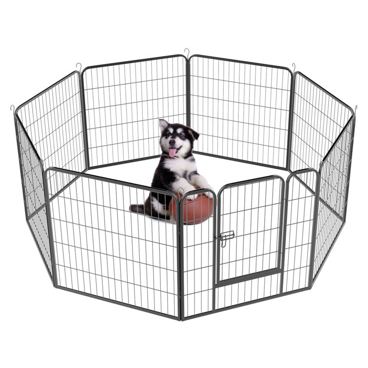 white dog playpen