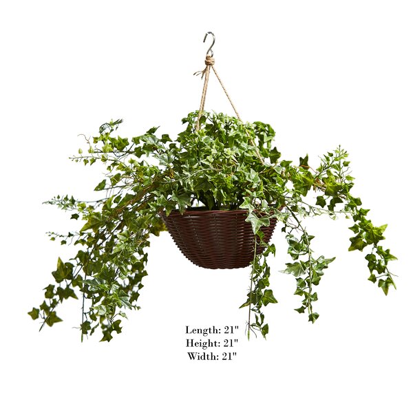 Fleur De Lis Living Artificial English Ivy Plant in Basket & Reviews ...