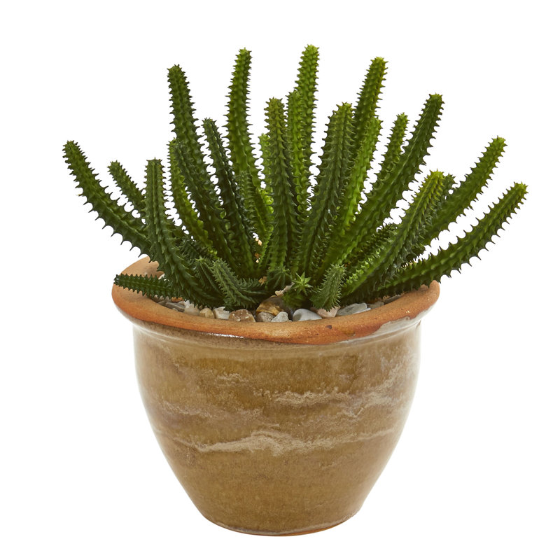 Bungalow Rose Artificial Cactus Succulent Plant In Decorative Vase