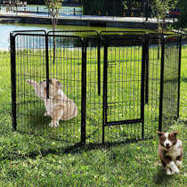 wayfair outdoor dog kennel