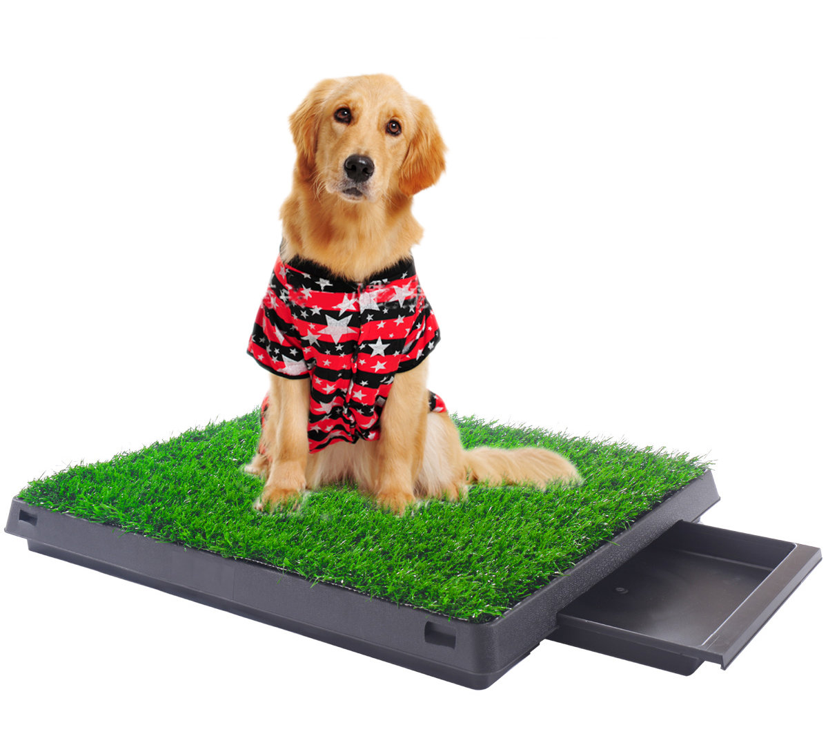 outside dog mats