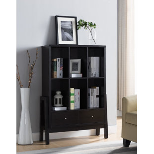 Collinsworth Modern Contemporary Design Display Standard Bookcase