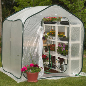 Springhouse 6 Ft. W x 6 Ft. D Greenhouse