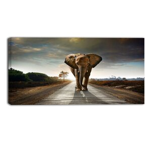 'Single Walking Elephant' Photographic Print on Wrapped Canvas