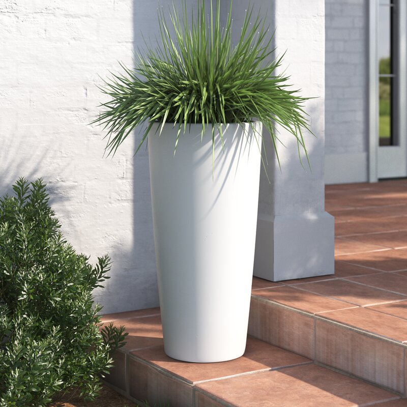 Sheley Fiberglass Pot Planter & Reviews | Joss & Main