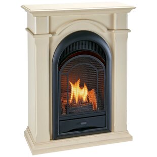 Dual System Vent-Free Natural Gas/Propane Fireplace By ProCom