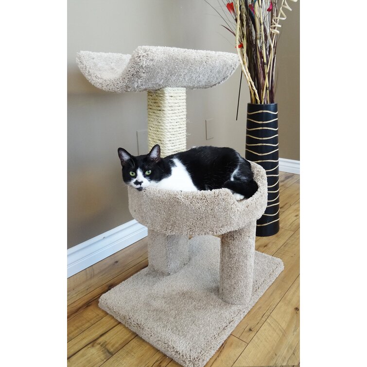 New Cat Condos 31 Window Cat Tree Reviews Wayfair