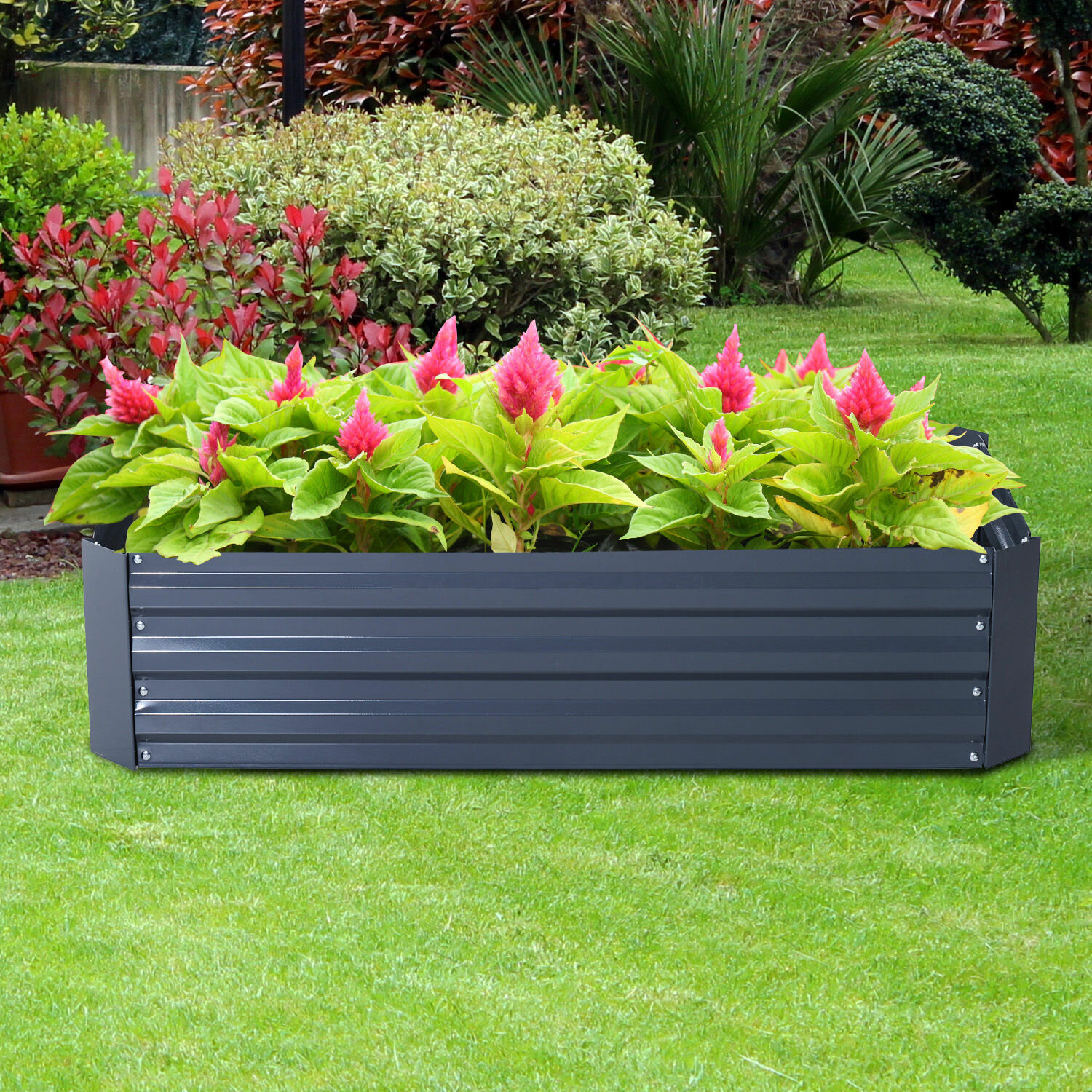 Arlmont Co Garza 4 Ft X 2 Ft Galvanized Steel Raised Garden Bed Reviews Wayfair