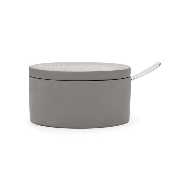 Salt Spoon Wayfair