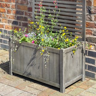 Freeport Park Paulina Wooden Planter Box with Trellis | Wayfair.co.uk