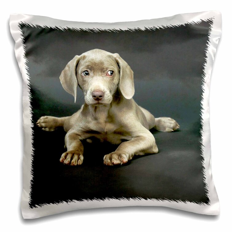 Weimaraner  Dog Cushion Cover Printed Linen  Water color painting 