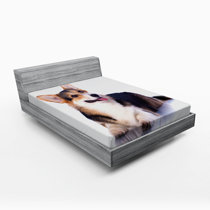 corgi bed sheets big lots