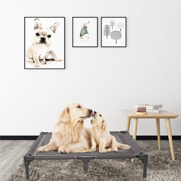 outdoor waterproof dog beds