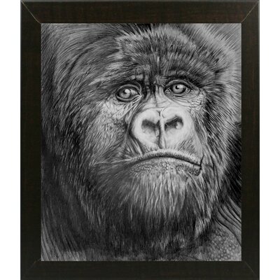 'Gorilla' Graphic Art Print Bloomsbury Market Size: 20