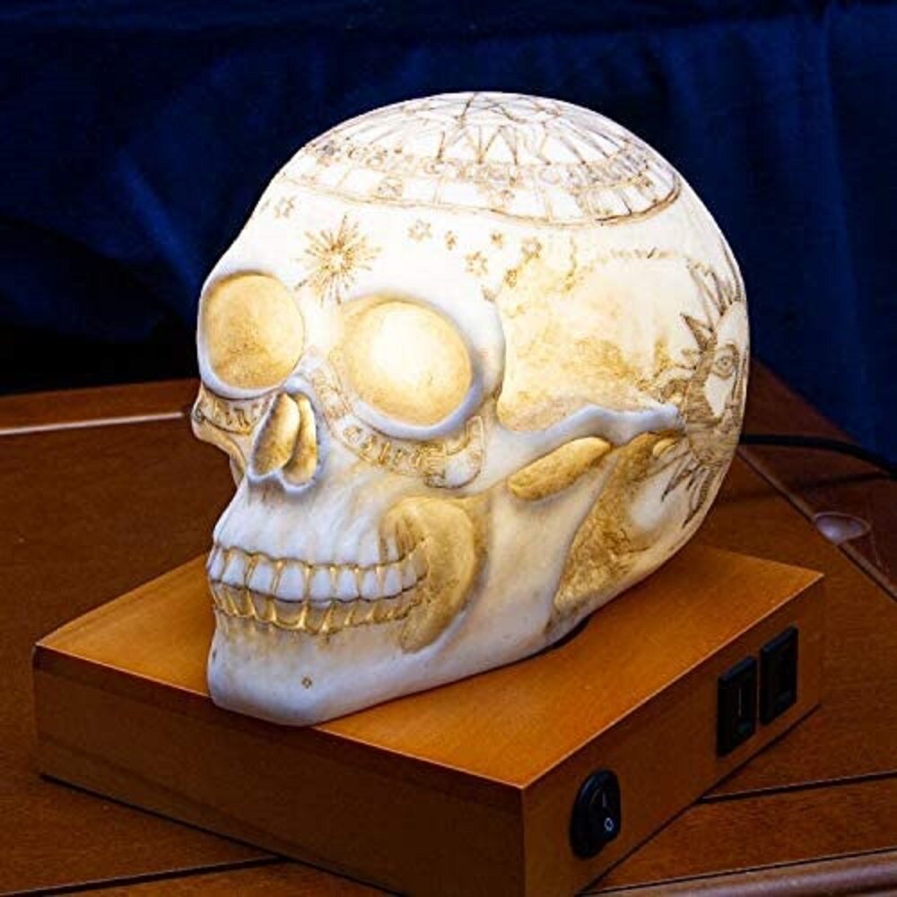 wayfair skull lamp