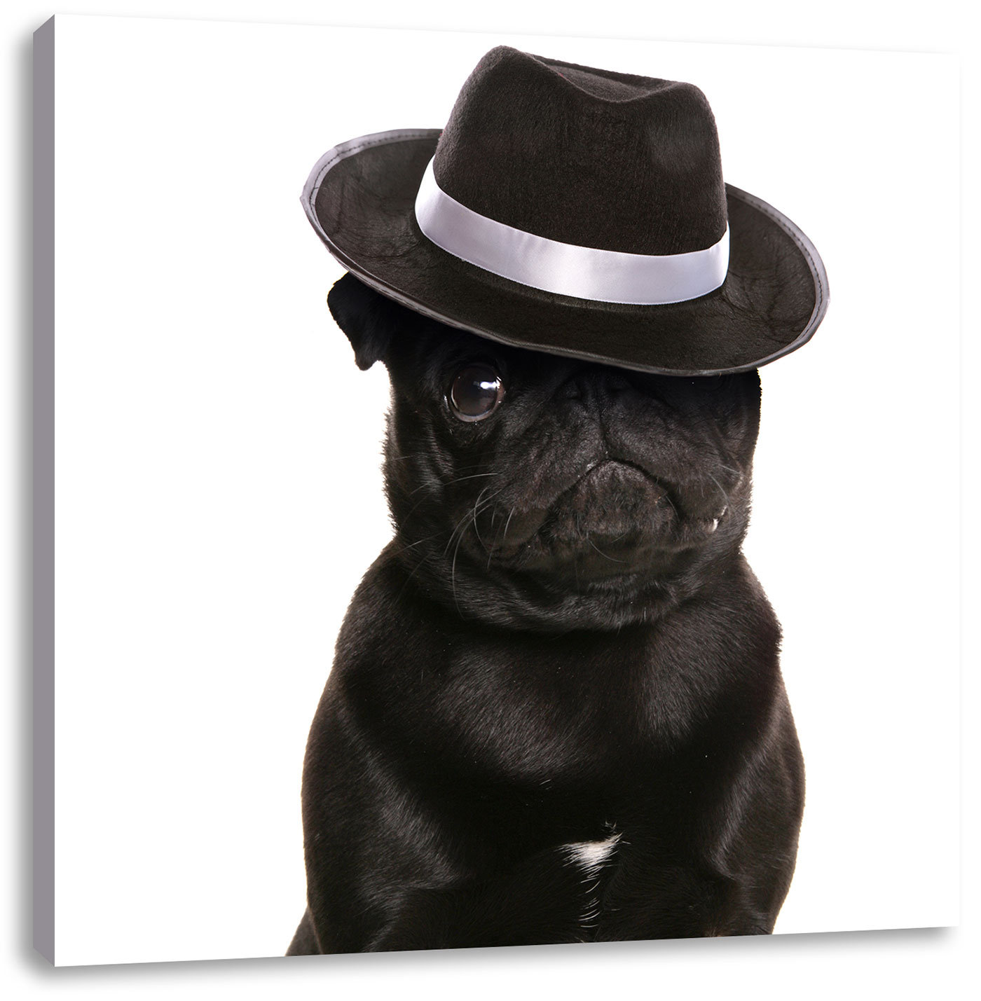 mafia hat