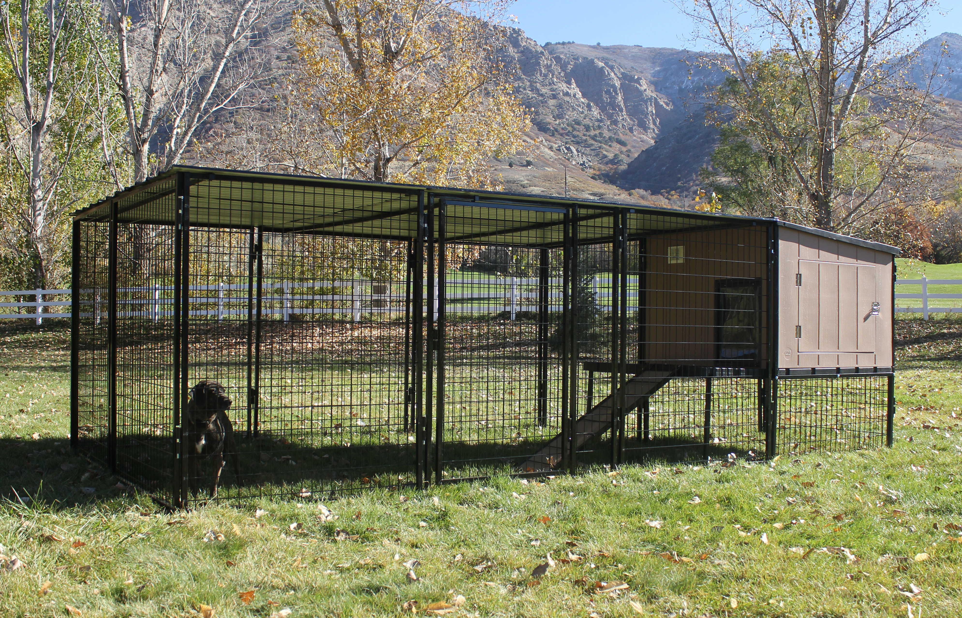 Tucker Murphy Pet Belle Castle Run Metal Yard Kennel Wayfair