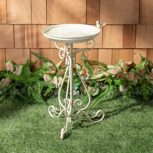 Wayfair | White Bird Baths You'll Love in 2022