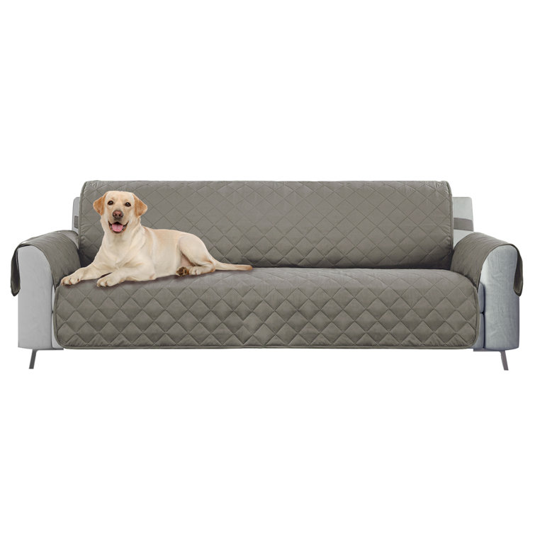 bitki keci pornografi sofa cover reviews wildatlanticwaypods com bitki keci pornografi sofa cover reviews wildatlanticwaypods com