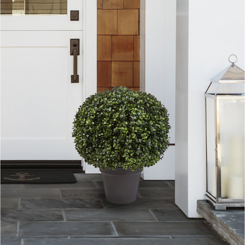 Pure Garden Boxwood Topiary in Planter &amp; Reviews Wayfair.ca