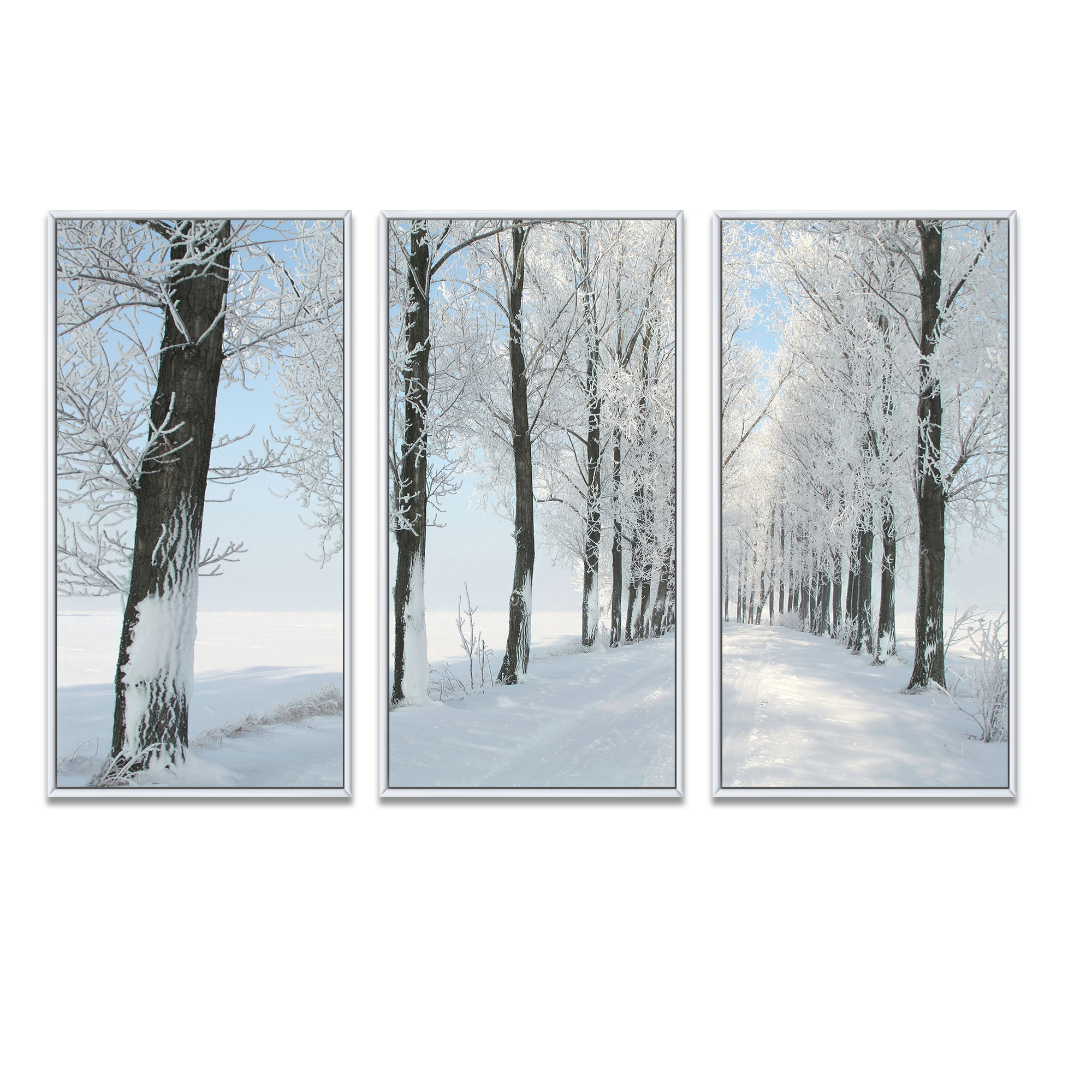 Millwood Pines Beautiful Winter Forest Lane Photo Beautiful Winter ...