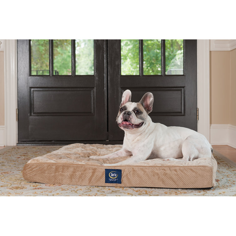 serta ortho foam quilted pillowtop pet bed