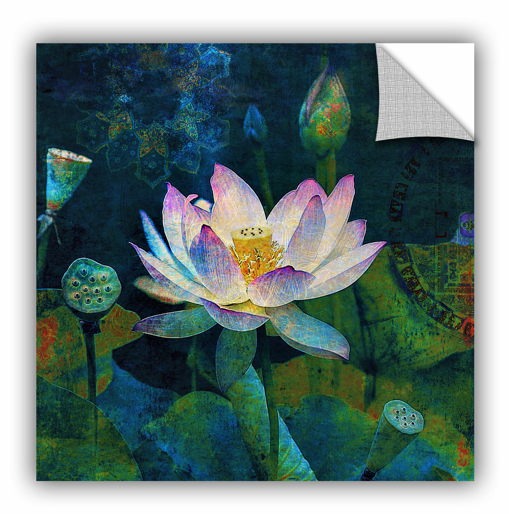 lotus blossom