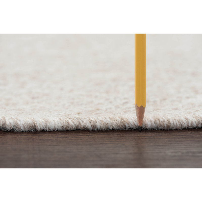 Union Rustic Bourke Cream Rug Reviews Wayfair
