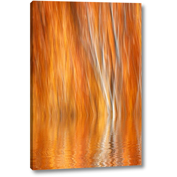 Ebern Designs Ca Grant Lake Abstract Of Autumn Aspen Trees