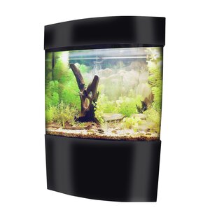 Beagle Aquarium Tank