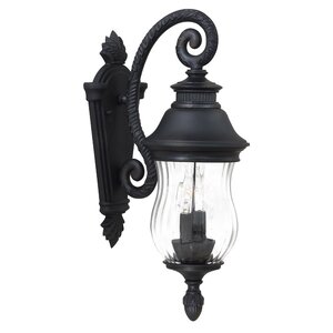 Newport 2-Light Outdoor Wall Lantern