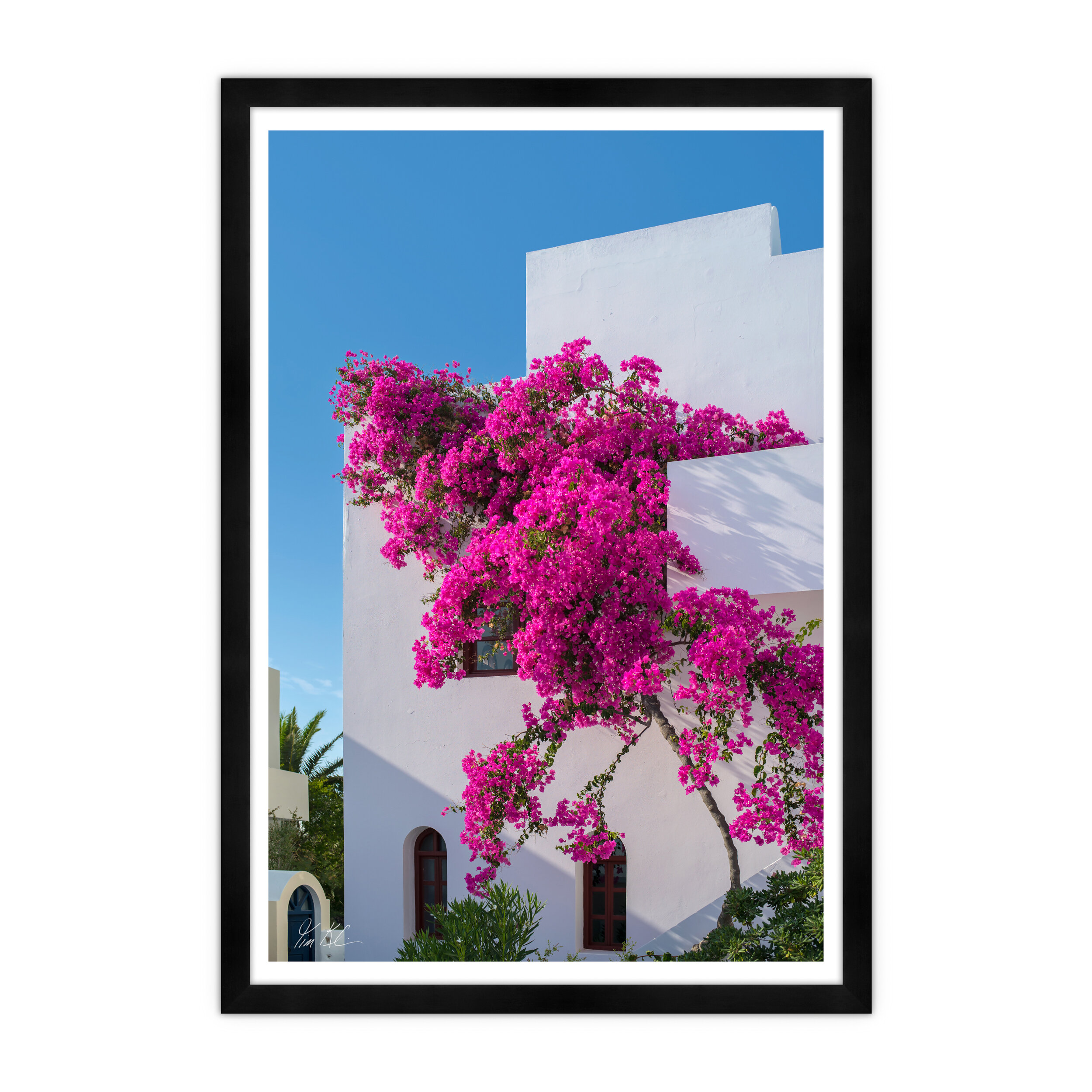 Tim Klein Climbing Bougainvillea I by Tim Klein - Picture Frame ...