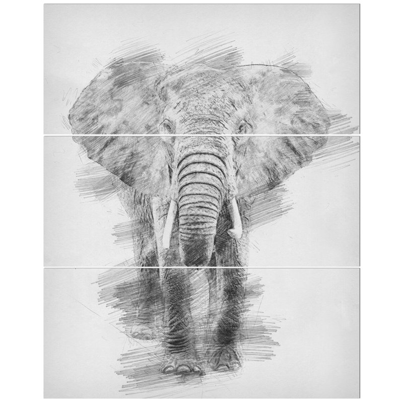 East Urban Home Black And White Elephant Pencil Sketch Drawing Print Multi Piece Image On Wrapped Canvas Wayfair