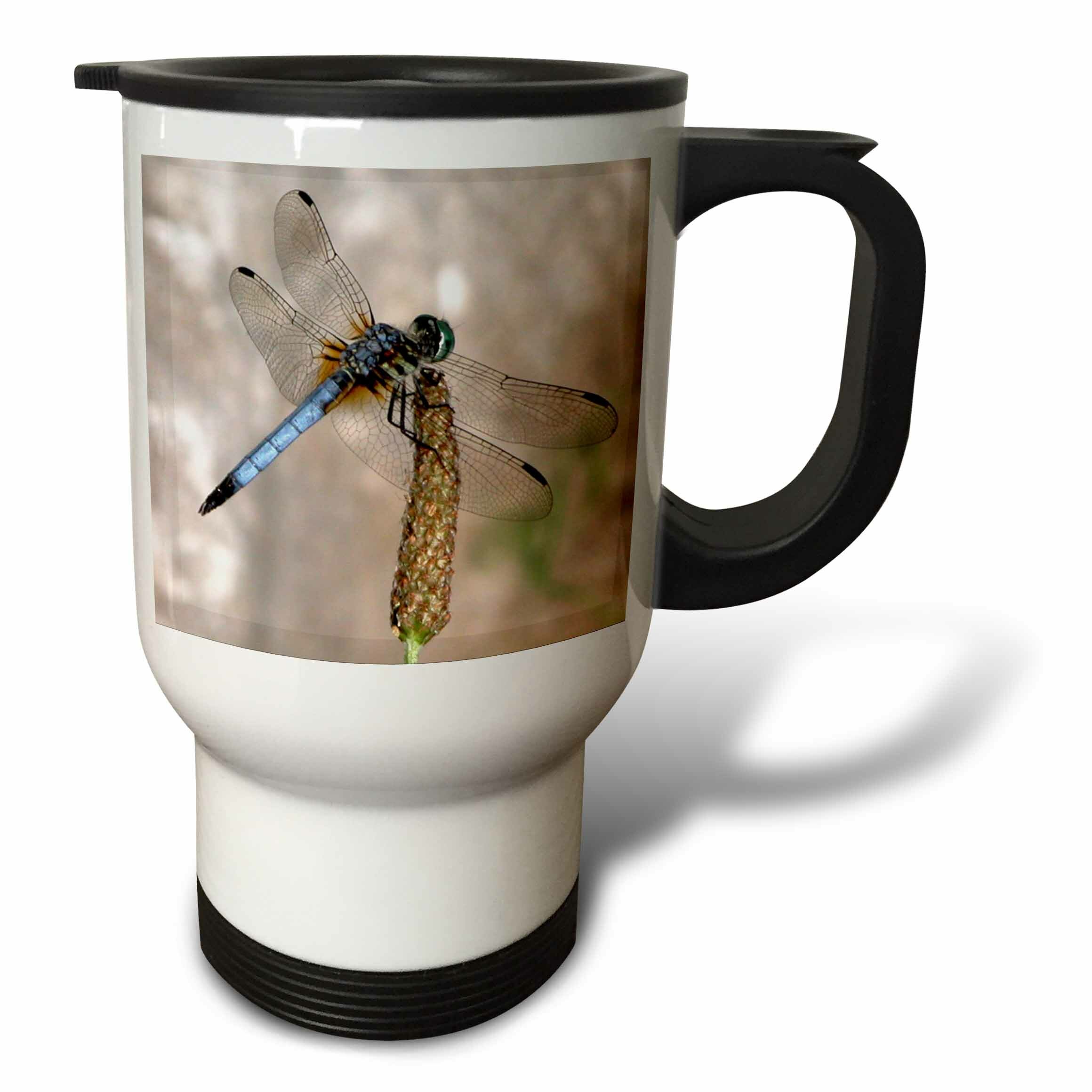 3drose Beautiful Dragonfly 14 Oz Stainless Steel Travel Mug Wayfair