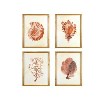 Rosecliff Heights Framed Wall Art With Blue Shells Coral 4 Piece Picture Frame Print Set On Wood Reviews Wayfair