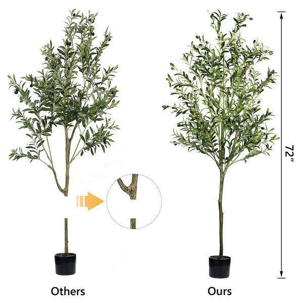 Primrue 72'' Artificial Olive Tree in Pot & Reviews | Wayfair