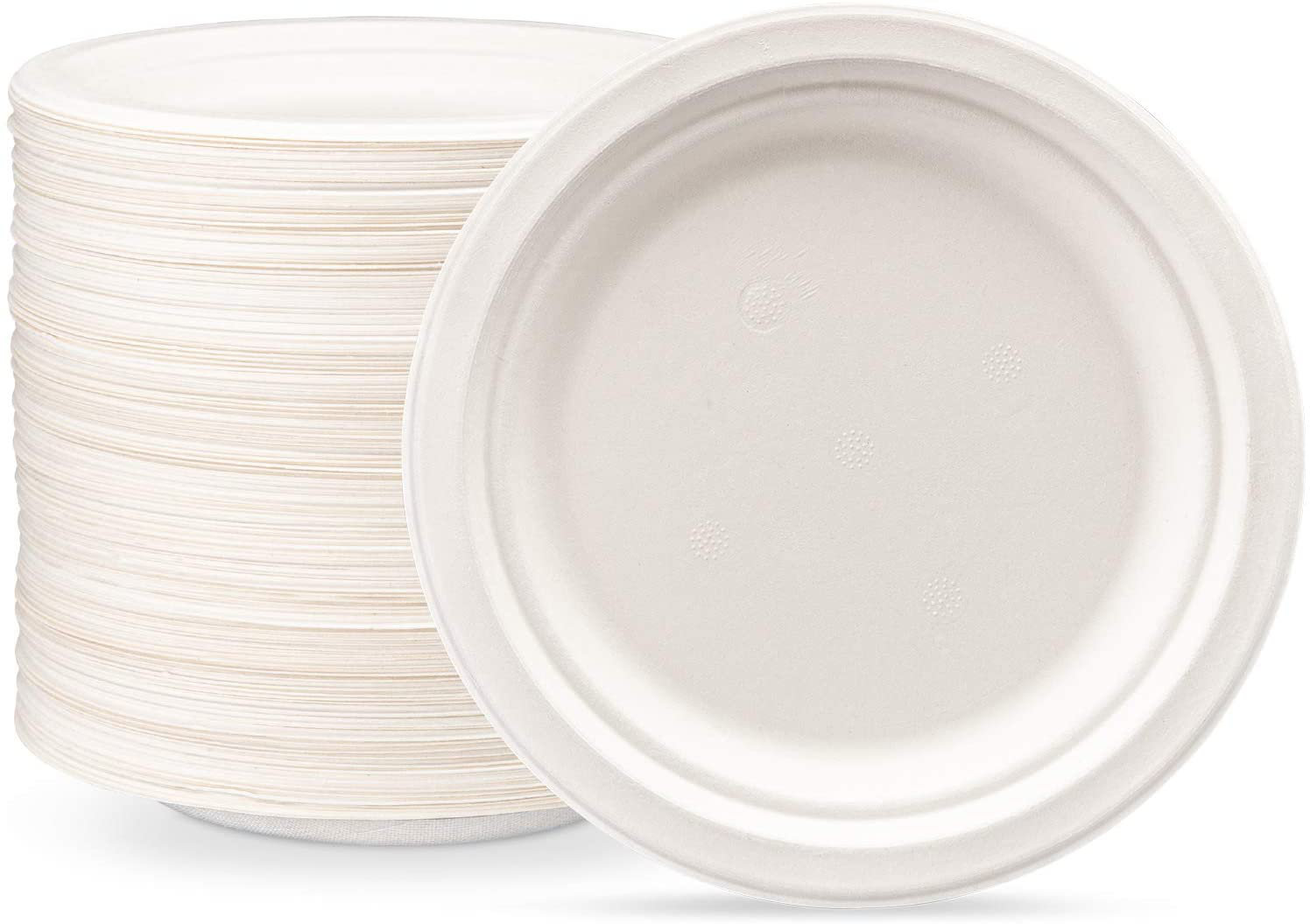 eco friendly paper plates