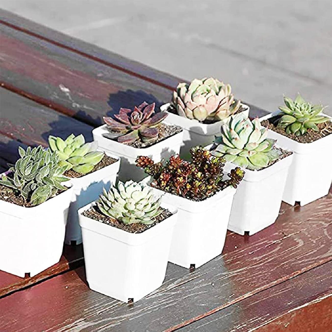 24Pcs Small Flower Pot Simple Succulent Plant Pot Plastic Pots For Living Room 