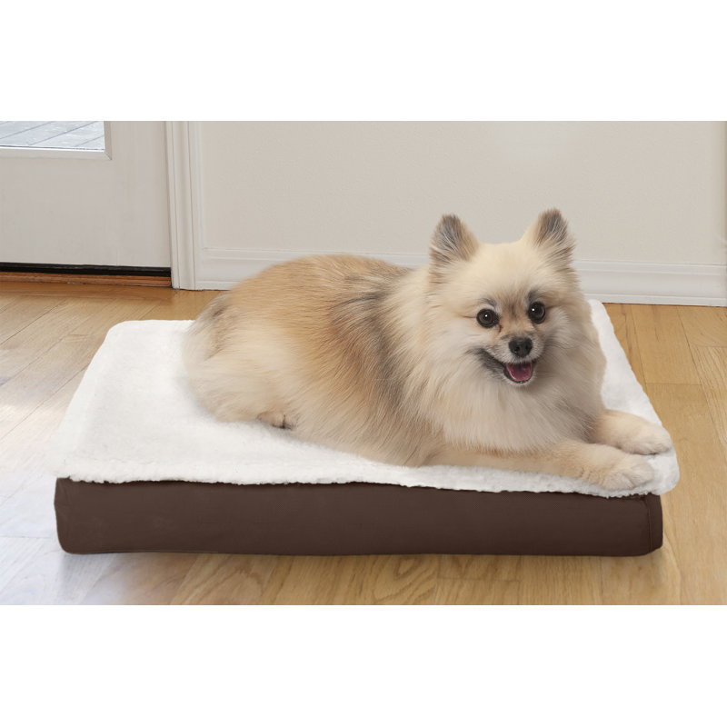 outdoor pet mat