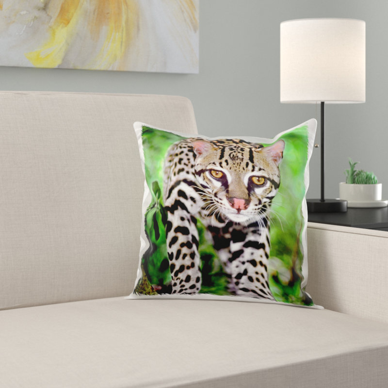 East Urban Home Florida Ocelot Wildlife On Log At Big Cat Rescue