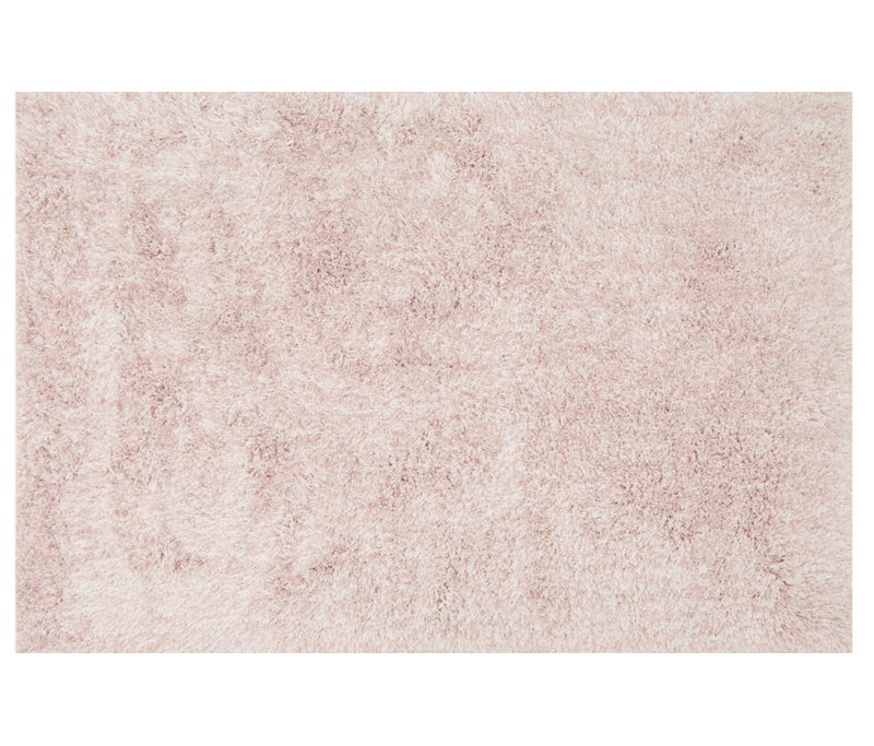 Aarav Blush Area Rug & Reviews AllModern