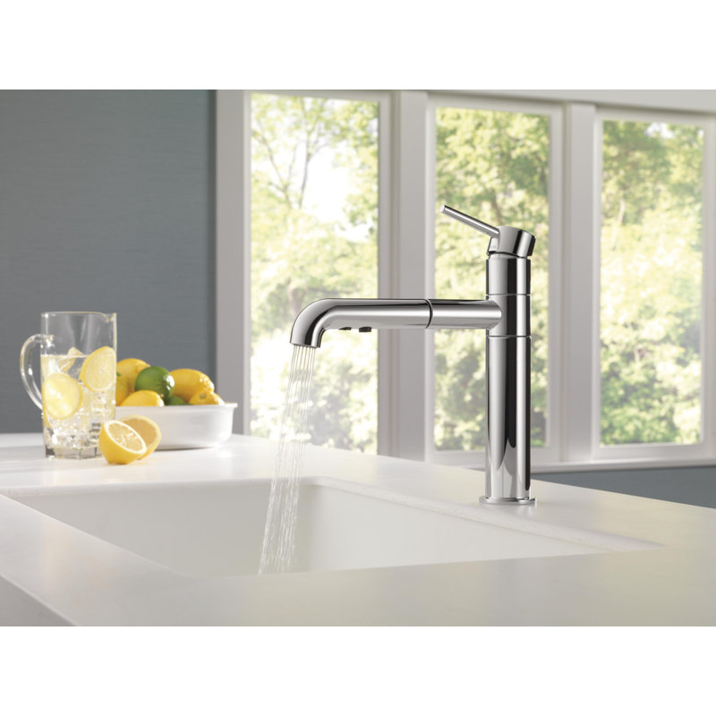 Delta Faucet Trinsic Single Handle Kitchen Sink Faucet With Pull Out Sprayer And Diamond Seal Technology Matte Black 4159 Bl Dst Rough Plumbing Faucet Parts Theinstantsolutions Com